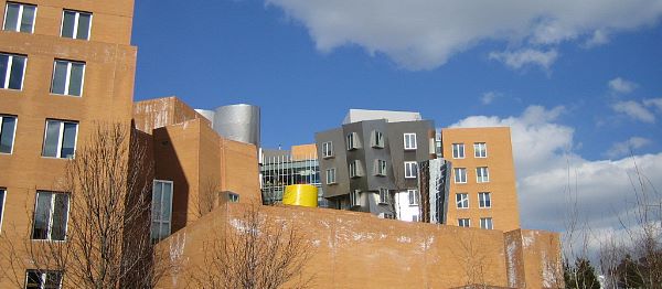 Strange buildings at MIT. I guess they're showing off their engineering talent. Photo of buildings at MIT.
